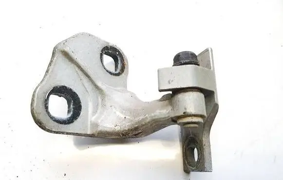 Rear door lower hinge