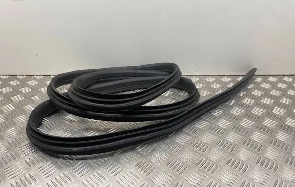 Ford C-MAX II Front door rubber seal 
