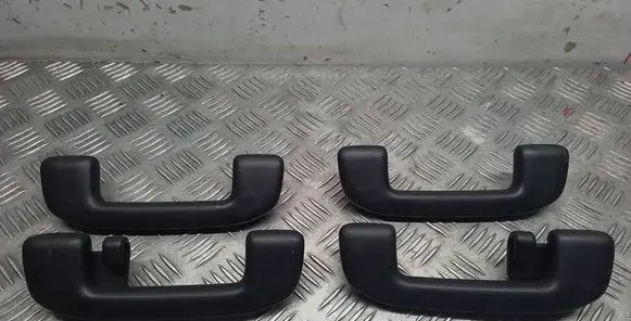 Toyota RAV 4 (XA50) A set of handles for the ceiling 