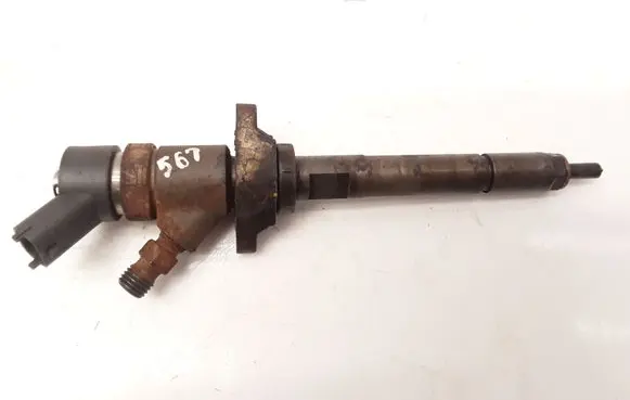 Citroen Berlingo Fuel injector 0445110239
