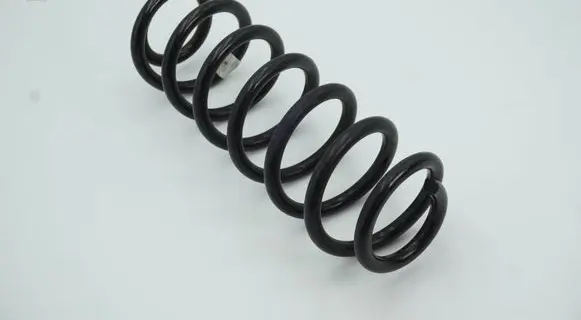 Rear coil spring