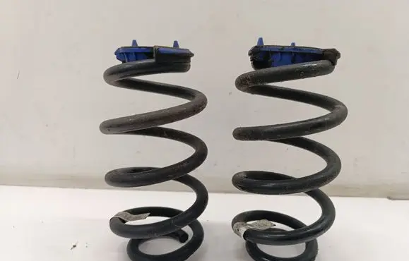 Rear coil spring