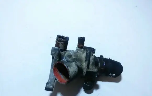 Honda Accord Engine coolant pipe/hose