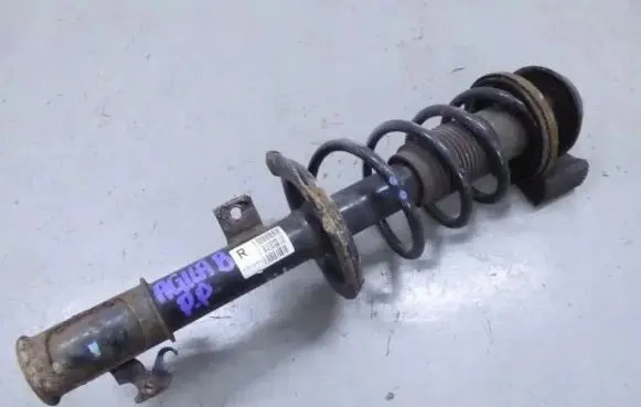 Opel Agila B Front shock absorber with coil spring