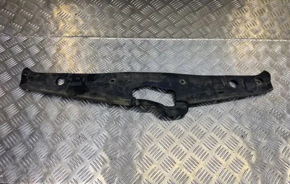 Engine bonnet/hood lock trim molding