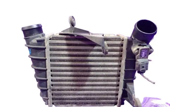 Seat Ibiza III (6L) Intercooler radiator