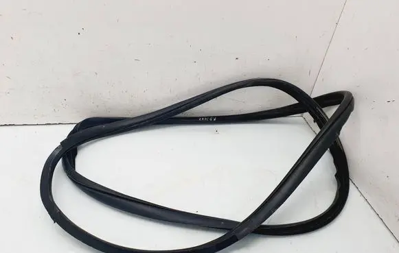 Hyundai ix 55 Front door rubber seal 