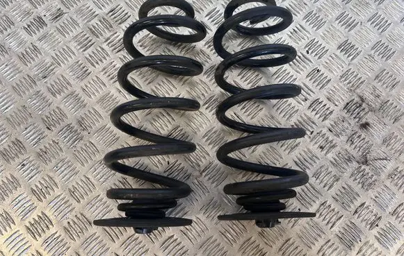 Rear coil spring