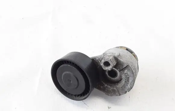 Dacia Sandero Timing belt/chain tensioner 117501083R