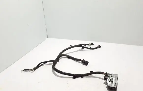 Renault Kangoo III Other wiring loom 240141381S