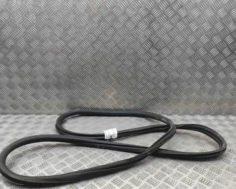 Citroen C5 Aircross Rubber seal front coupe door 9811537480