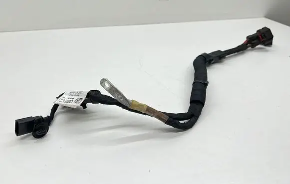 Audi A5 Other wiring loom 8W2971111D