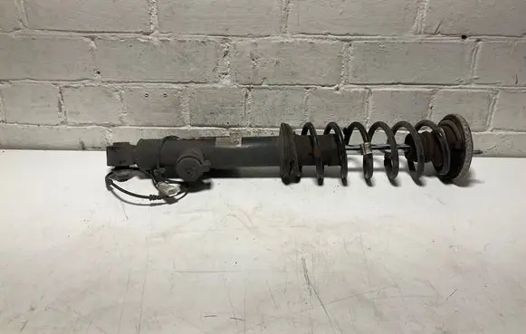 Rear shock absorber/damper