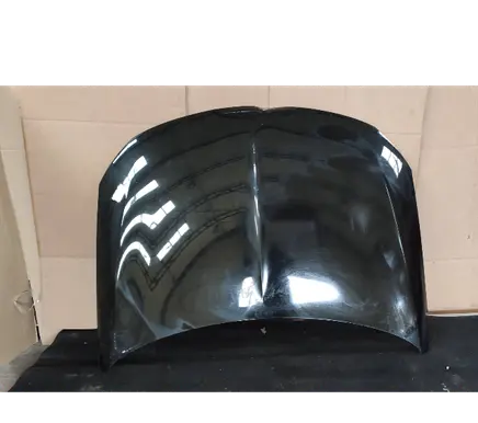 Opel Insignia B Engine bonnet/hood
