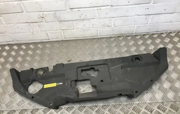 Engine bonnet/hood lock trim molding