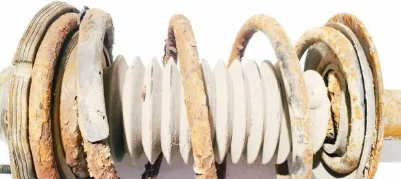 Front coil spring