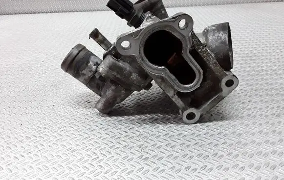 Thermostat/thermostat housing