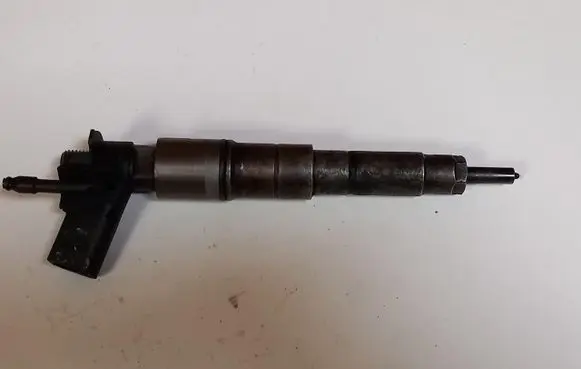 BMW X5 E70 Fuel injector 7808089
