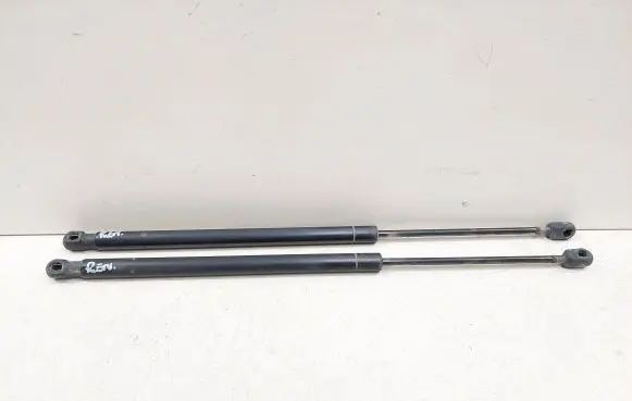 Renault Scenic II - Grand scenic II Tailgate/trunk strut/damper 8200464676 0091YH F30650N