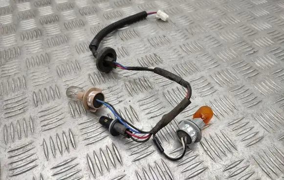 Nissan X-Trail T32 Tail light bulb cover holder