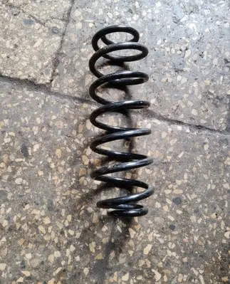 Rear coil spring