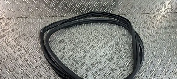Toyota C-HR I Front door rubber seal 