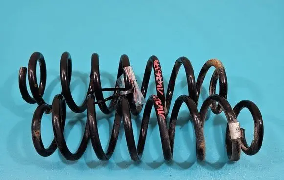 Rear coil spring