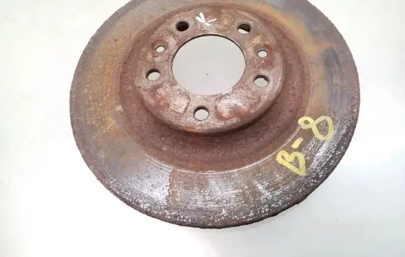 Rear brake disc