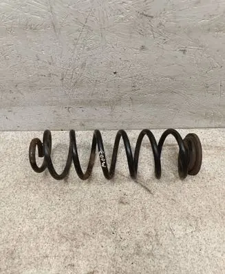 Rear coil spring
