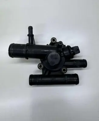Thermostat/thermostat housing