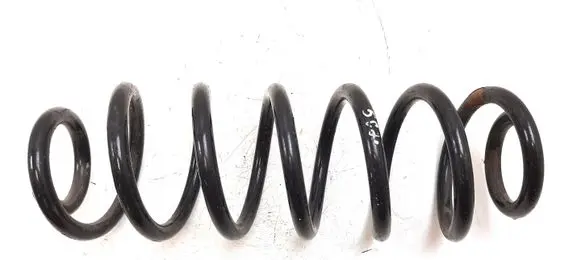 Volkswagen Jetta V Rear coil spring