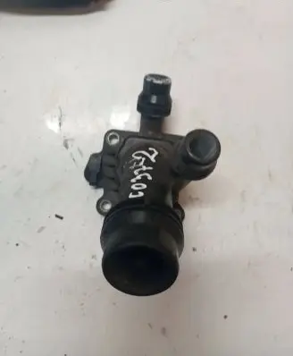 Thermostat/thermostat housing