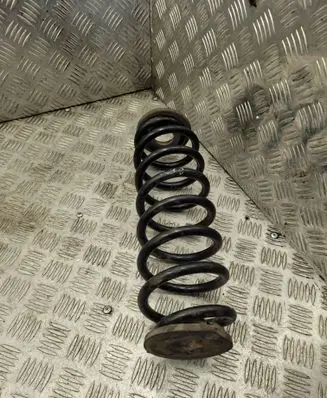 Rear coil spring