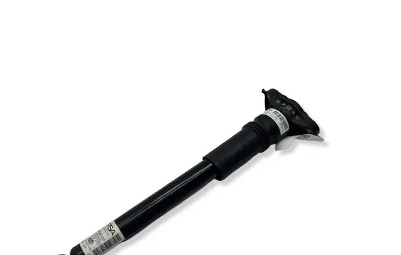 Opel Mokka B Rear shock absorber/damper 9842691780 9842691480