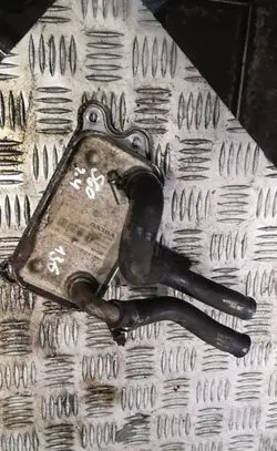 Oil filter mounting bracket