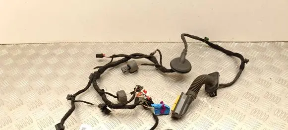Skoda Enyaq iV Front door wiring loom 5WA972702