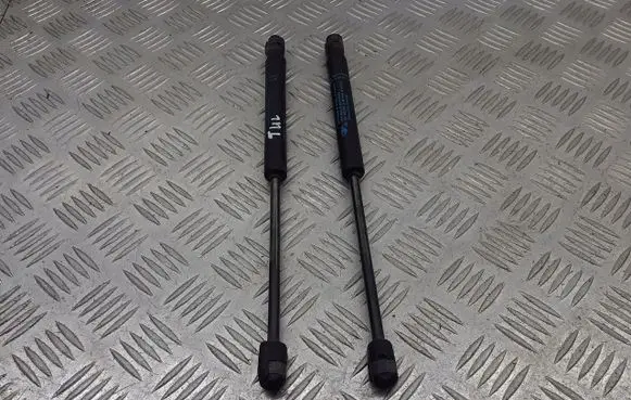 Peugeot 407 Tailgate hydraulic set 