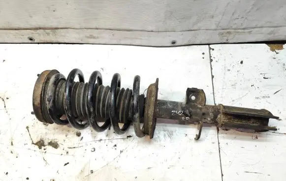 BMW X5 E53 Front shock absorber with coil spring E1246S 22215504 676463