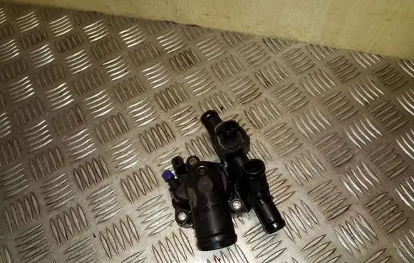 Thermostat/thermostat housing