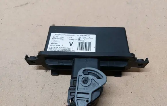 Citroen C5 Light module LCM 9673195480 V00098358 89903998