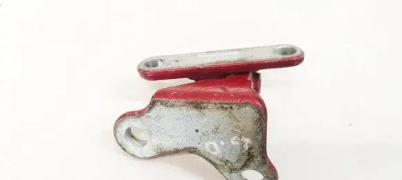 Rear door lower hinge