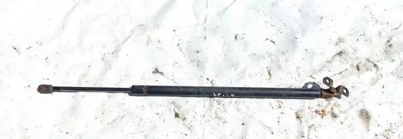 Chrysler Pacifica Front bonnet/hood damper/strut