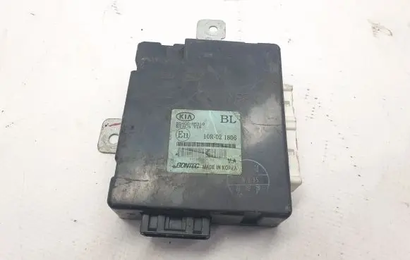 KIA Sorento Other devices 954003E310
