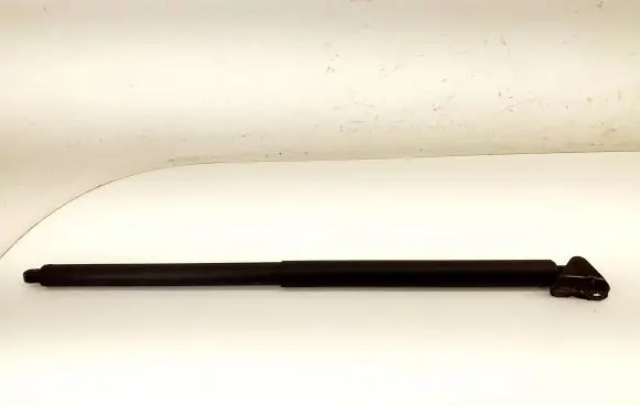 Tailgate/trunk strut/damper