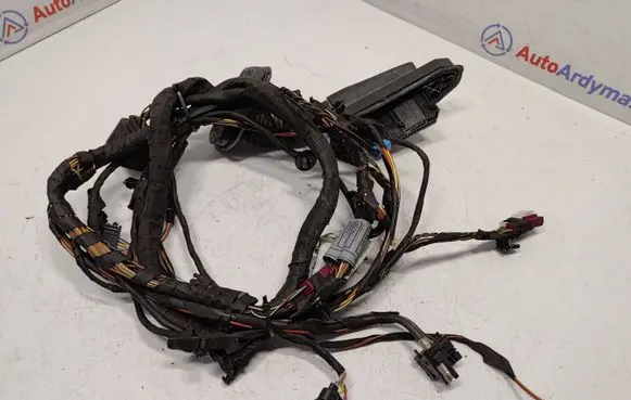 BMW 6 F12 F13 Front door wiring loom 9259834