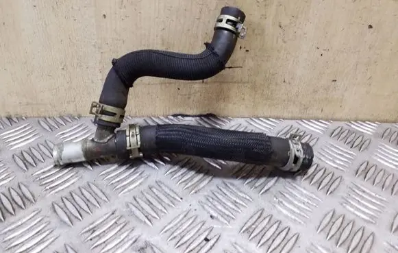 Nissan Juke I F15 Engine coolant pipe/hose