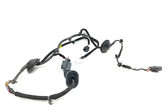 KIA Sorento Rear door wiring loom 91660C5080