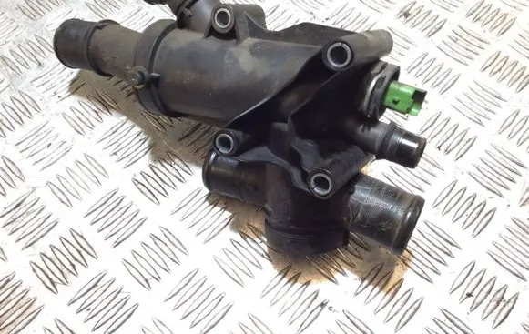 Thermostat/thermostat housing