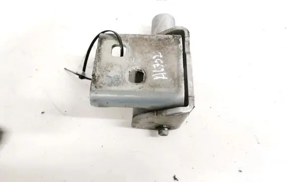 Renault Modus Rear door lower hinge