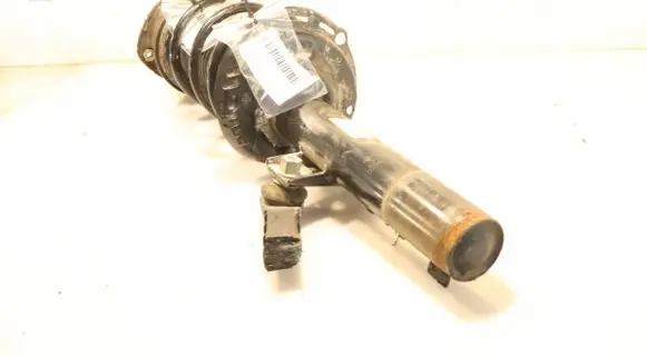 Skoda Scala Front shock absorber with coil spring